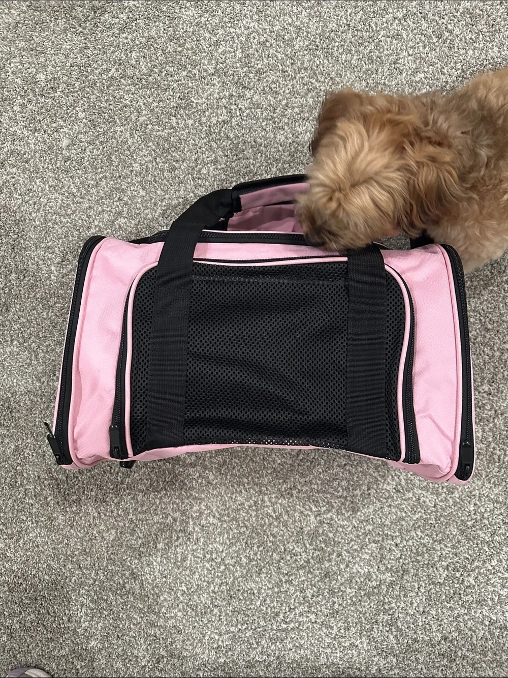 Pet Travel Carrier Bag - Pink